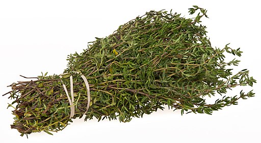 Thyme, German -Thymus vulgaris