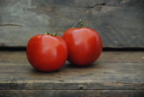 Tomato - Moskvich - Solanum lycopersicum - Heirloom